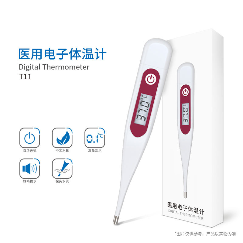 硬頭體溫計(jì)T11
